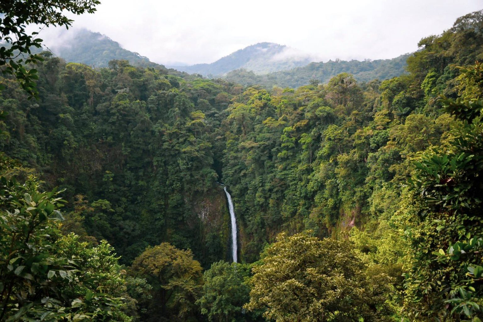 Costa Rica Travel Guide: The Ultimate Guide for Your Travels